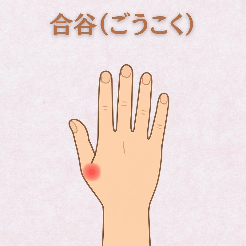 気象病をツボでケア｜合谷（ごうこく）の場所を解説した画像