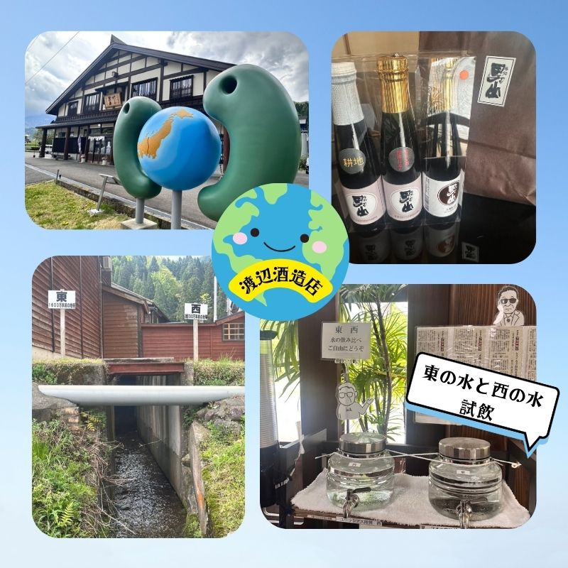 渡辺酒造店で西の水と東の水を試飲。日本酒男山も購入。