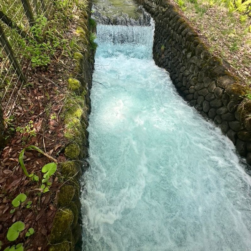 国営アルプスあづみの公園内を流れる烏川幹線水路。美しい水色の流れが、安曇野のお米を育てる大切な水源となっている。