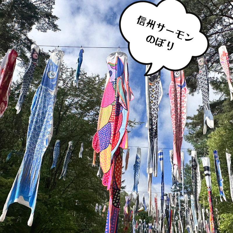 約300匹の鯉のぼりが空を泳ぐ中にひときわ目立つ“信州サーモンのぼり”。ご当地らしいユーモアが光る、春の空のひとコマ。